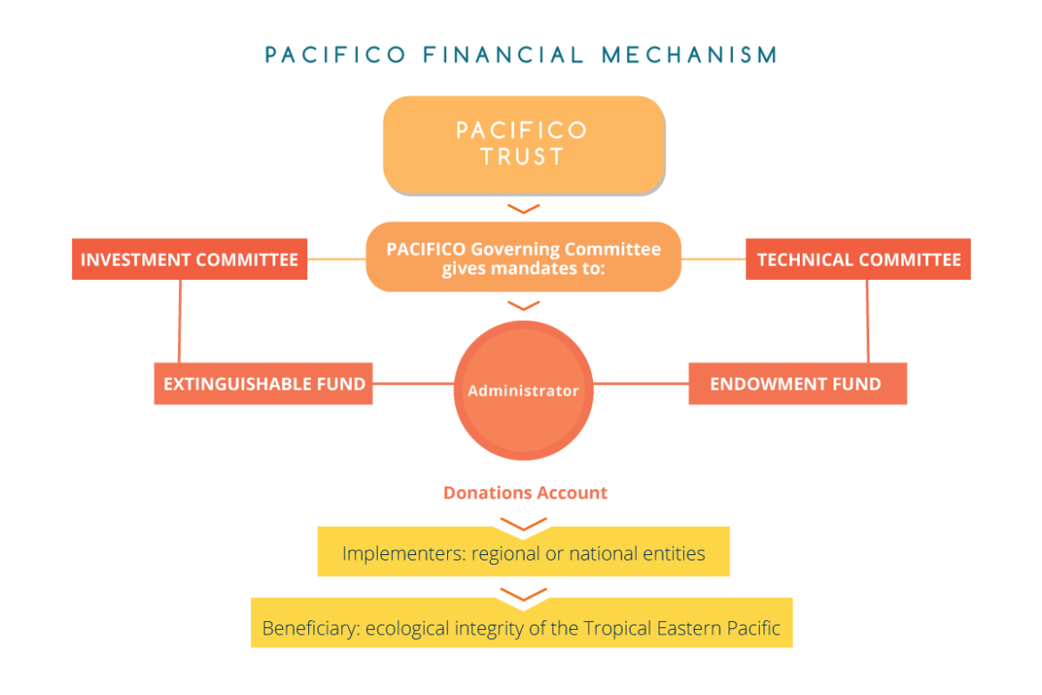 Pac Financial Management Financial management – PACÍFICO
