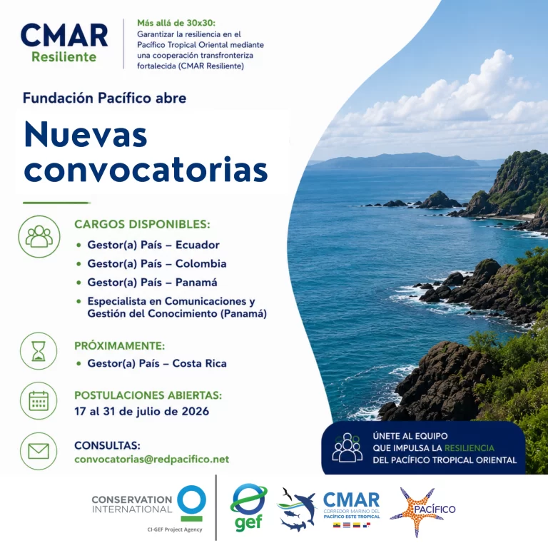Fundación Pacífico abre nuevas convocatorias para fortalecer la Unidad de Gestión del Proyecto CMAR Resiliente