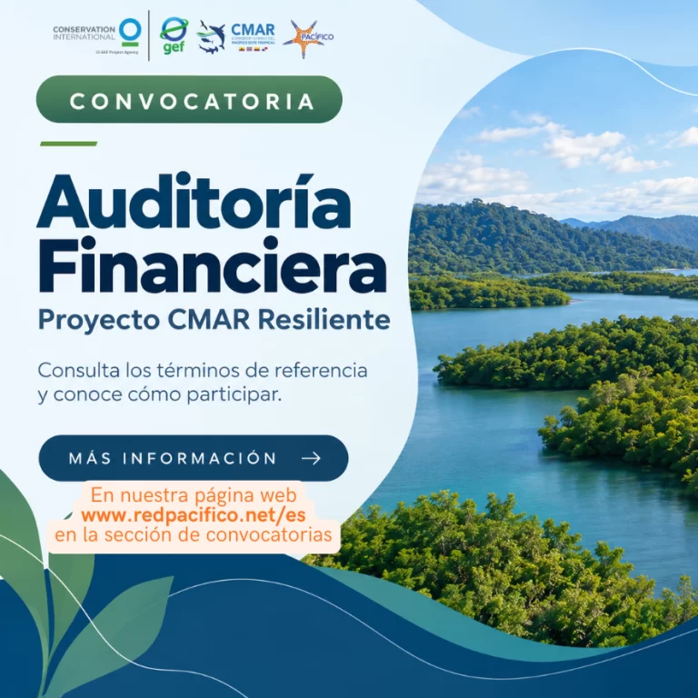 Convocatoria para Auditoría Financiera del Proyecto CMAR Resiliente